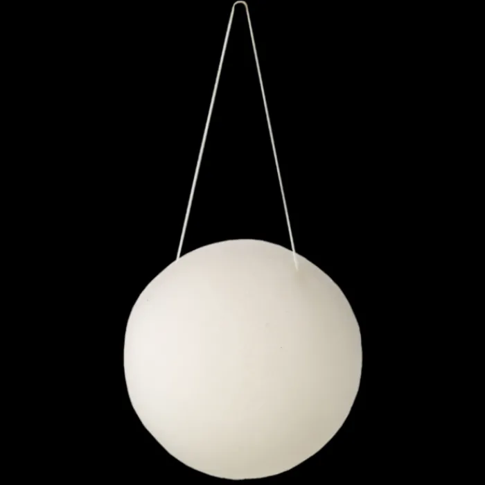 Sale Avril Éponge konjac